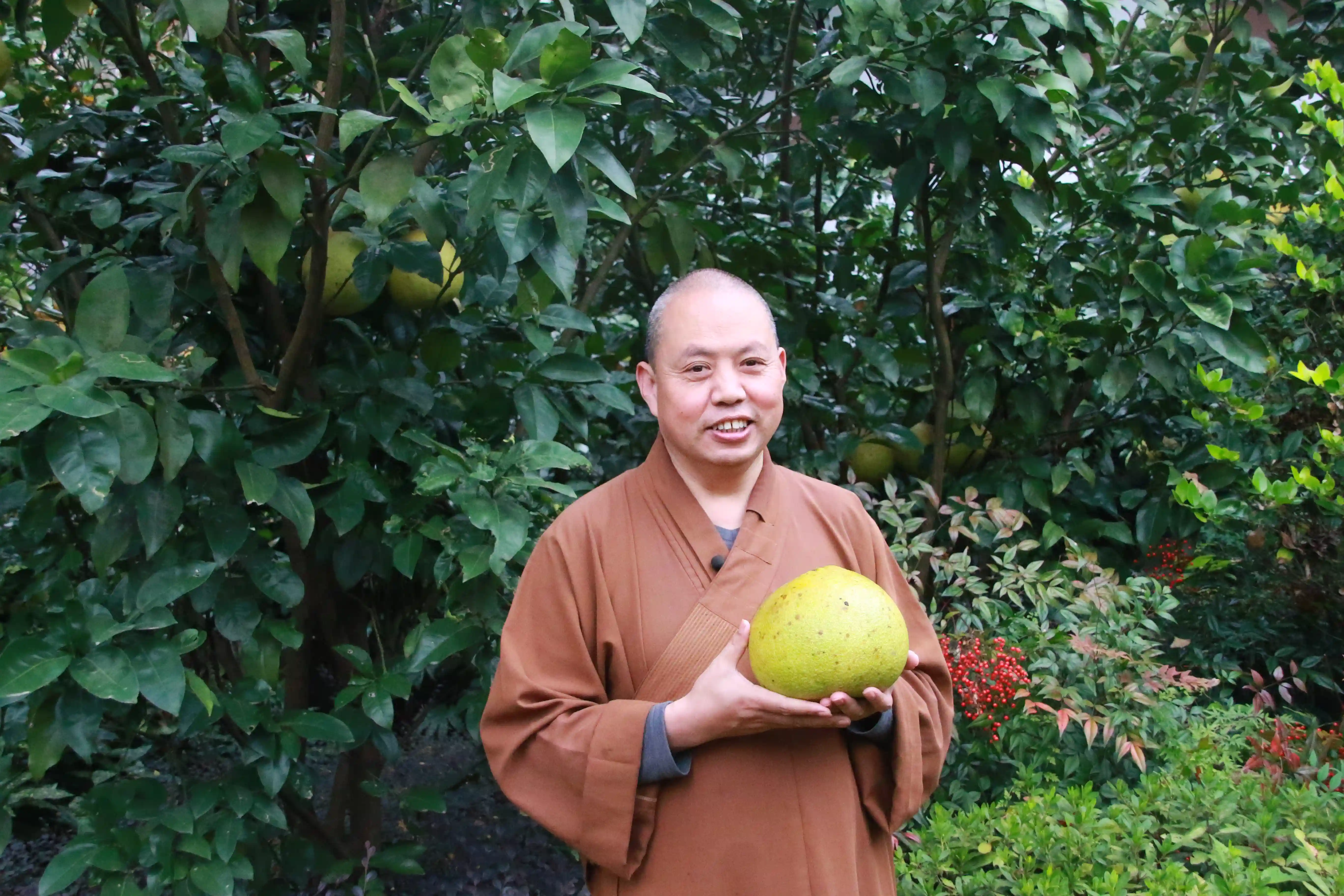 客观的语言与方式表达